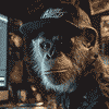 Chimp